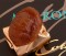 Marron Glace 8 pcs - Cardboard Box - Vacuum Packed in Gold Foil - CO754