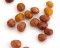 River Stones - Nougatine filled - 200g/7oz - 12/cs