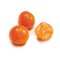 Candied Clementines (whole) - 2.5kg/5.5lbs - 1/cs